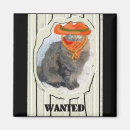 Search for wanted magnets Cat