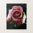 Search for oil painting puzzles Flowers