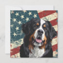Search for bernese mountain dog cards Animal