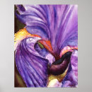 Search for iris art Floral