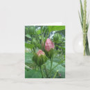 Search for greeting or note posters Flower
