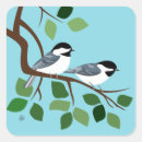 Search for black capped chickadee stickers Animals