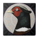 Search for pheasant tiles Ringneck