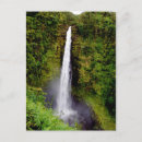 Search for akaka Waterfall