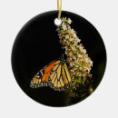 Search for monarch butterfly christmas tree decorations Orange