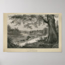 Search for draw a tree posters River