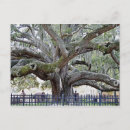 Search for fl postcards Photograph