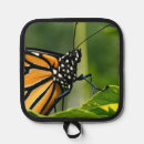 Search for beautiful monarch butterfly posters Black