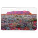 Search for monolith magnets Uluru
