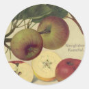 Search for vintage botanical illustration stickers Fruit