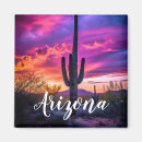 Search for southwestern magnets Arizona