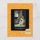 Search for prozac I can has cheezburger