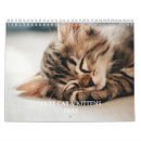 Search for cute kitten calendars Modern