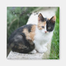 Search for funny movie magnets Cat