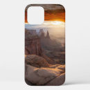 Search for sunset love iphone cases Vintage