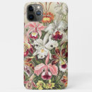 Search for orchid cases Ernst haeckel