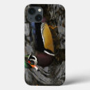 Search for crystals cases Colourful
