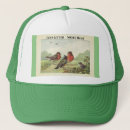 Search for bug hats Insects