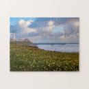 Search for big sur puzzles Anna miller