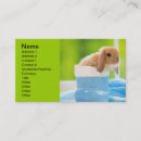 Search for bunny business cards Animals