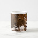 Search for mule deer mugs Nature