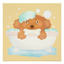 Search for pet grooming art Spa