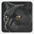 Search for ai stickers Black cat