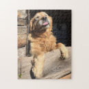 Search for silly puzzles Cute