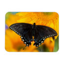Search for easter stamps magnets Yellow