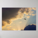 Search for flying bird posters Outdoors