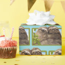 Search for funny valentines wrapping paper Avanti press