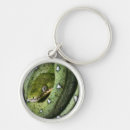 Search for boa key rings Animal