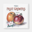 Search for fruit magnets Vintage