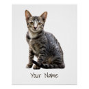 Search for vintage portrait posters Cat