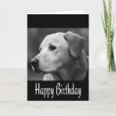 Search for black labrador puppy birthday cards Dog