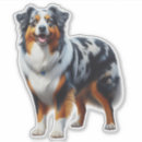 Search for aussie shepherd stickers Australian shepherd dog