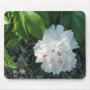 Search for precious mousepads Floral