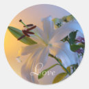 Search for white lily stickers Nature