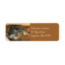 Search for alpaca return address labels Animal