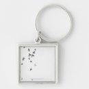 Search for side view key rings Outdoors