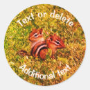 Search for chipmunk Animal