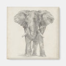 Search for sketches magnets Africa
