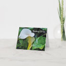 Search for calla lily cards Thinking of you