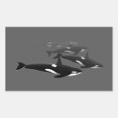 Search for killer whales stickers Black and white