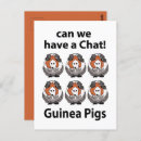 Search for funny pig postcards Pet