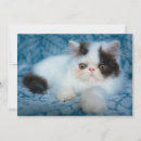 Search for longhair cards Domestic animals