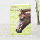 Search for cute pony cards Pet