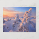 Search for evergreen postcards Winter
