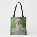 Search for golden retriever bags Puppy