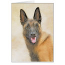 Search for malinois postcards Pet